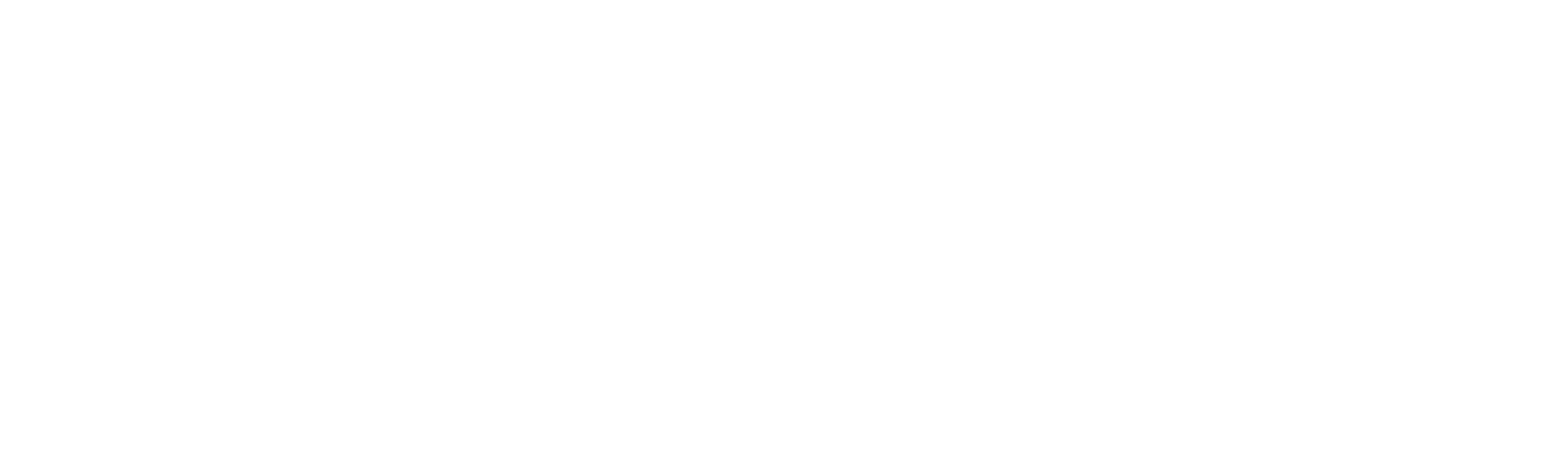 Bodenschatz_Logo-weiß